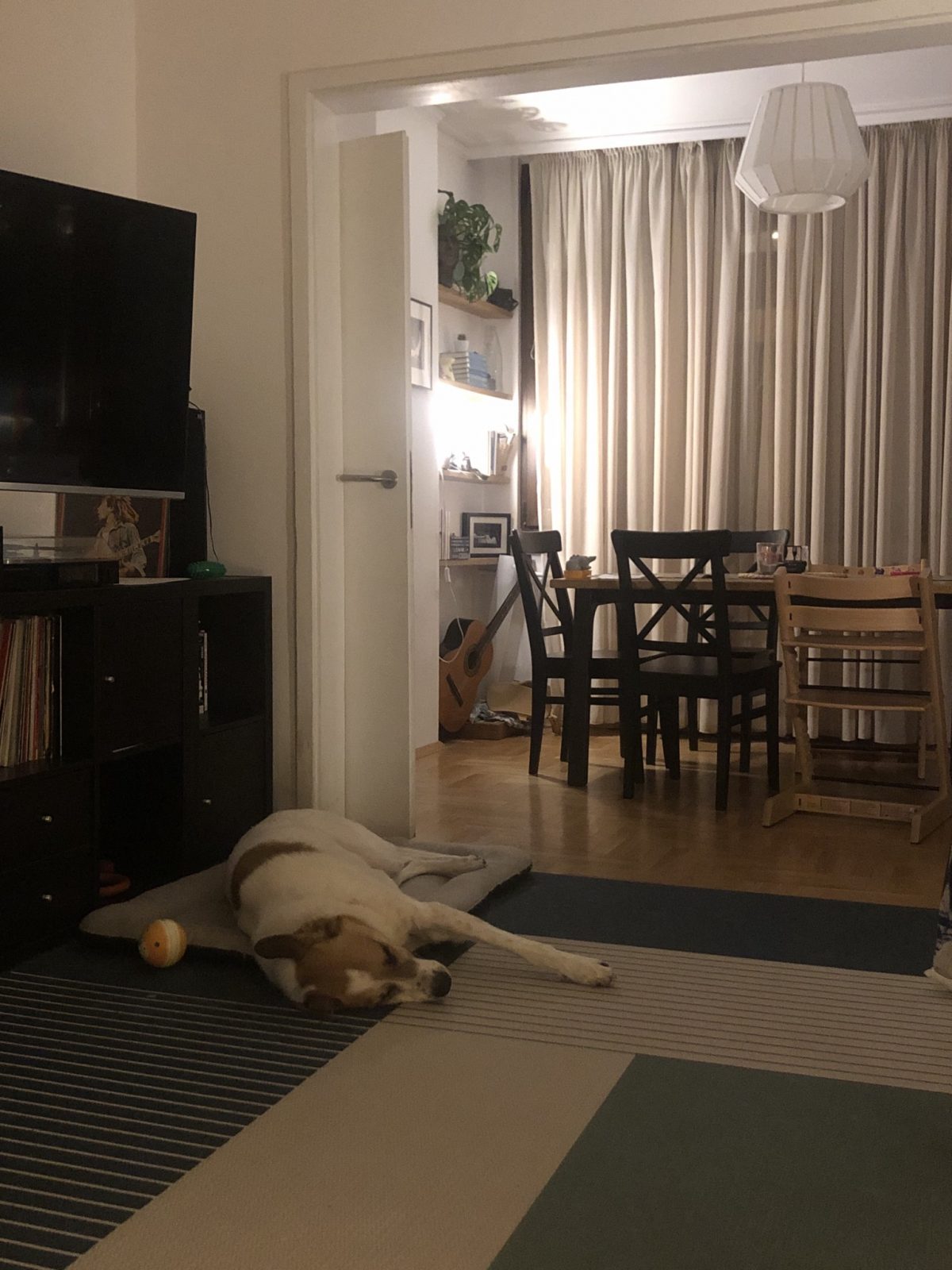 dog days