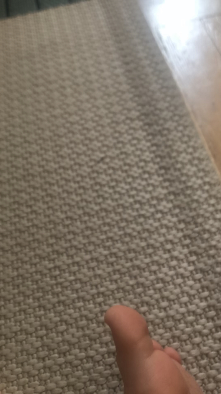 a picture of my daughter's toe