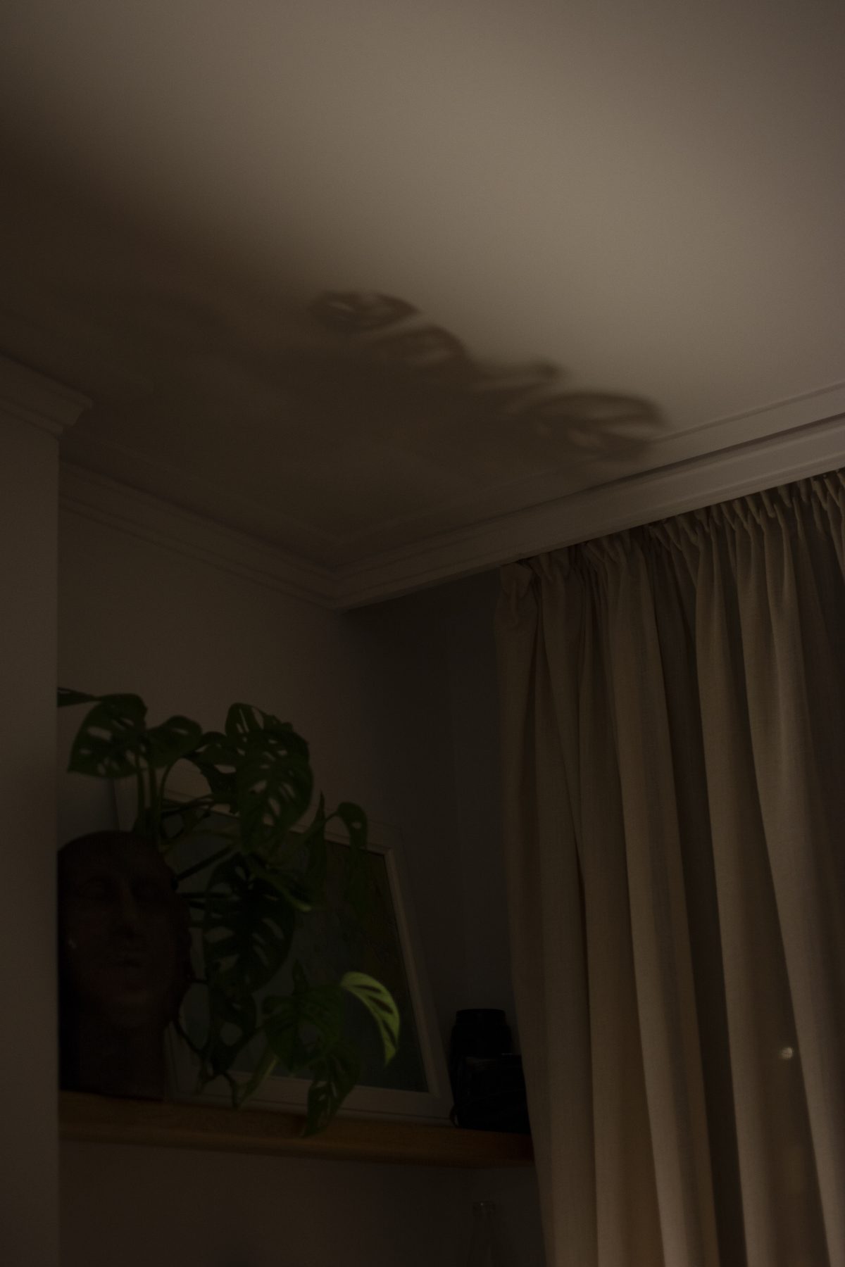 photo of day 21 of social distancing