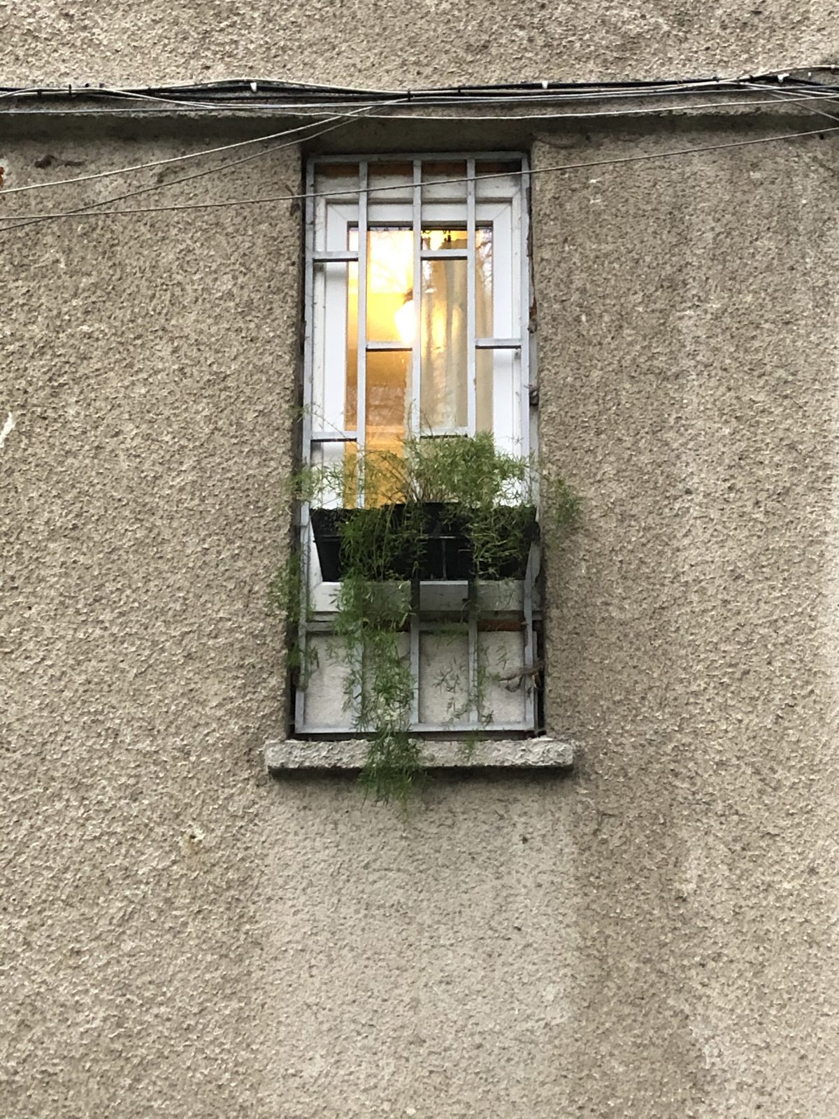 a small window with bars